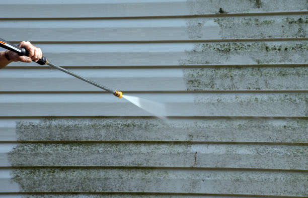 Best Residential Pressure Washing Services  in Ridgeway, AK