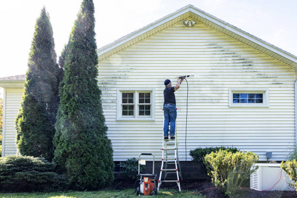 Best Affordable Power Washing  in Ridgeway, AK